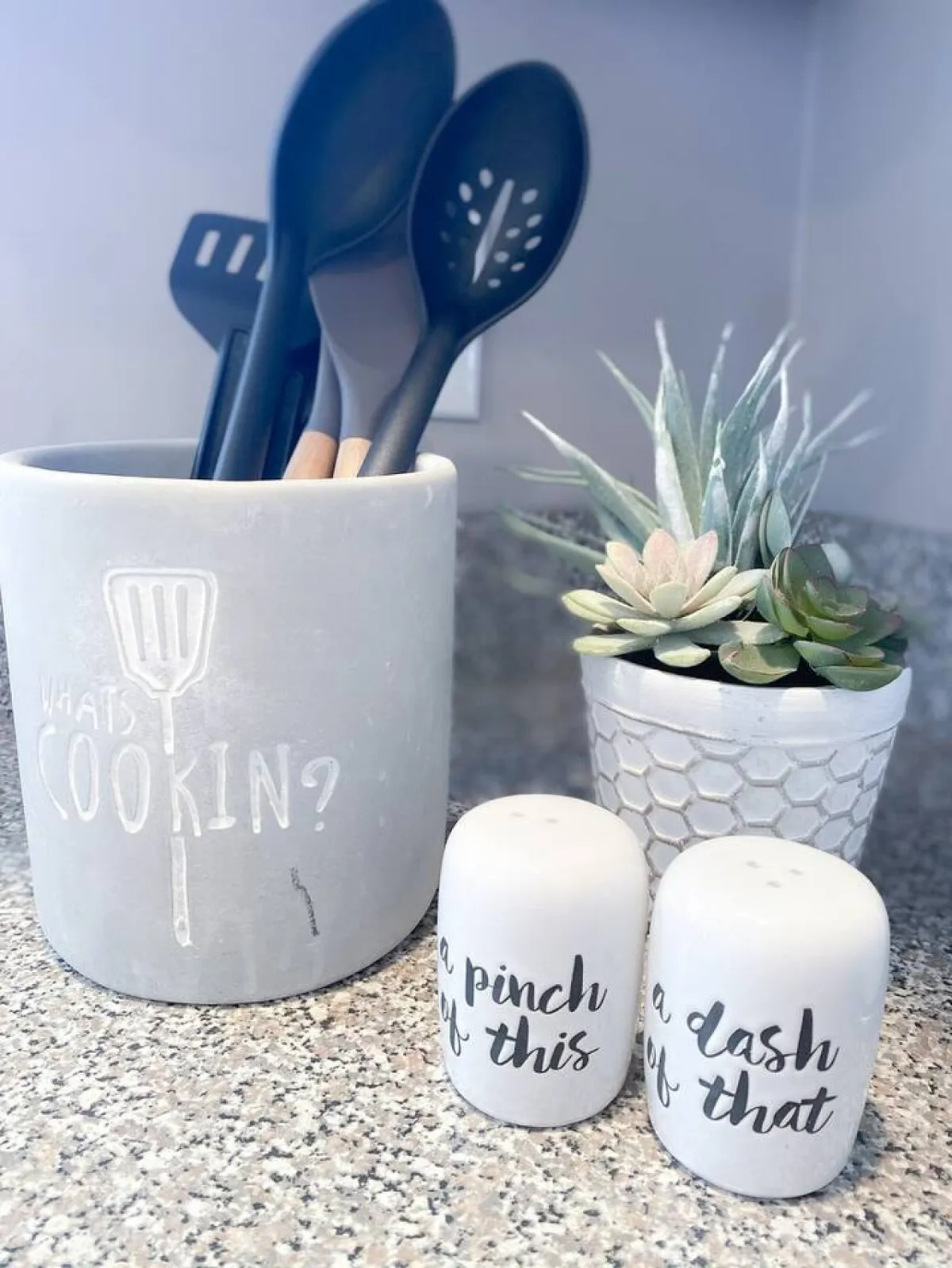 A close-up of kitchen utensils, a succulent plant, and salt and pepper shakers arranged on a countertop, offering a homey, personal touch. The scene hints at the joy of preparing meals and culinary creativity.